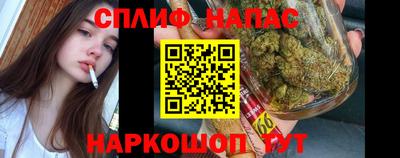 шишки Донецк