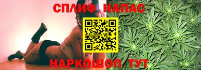 шишки Донецк