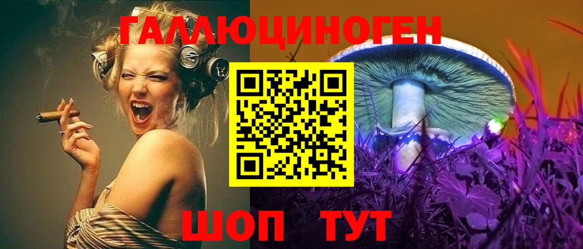 Галлюциногенные грибы Psilocybine cubensis  Вход с VPN  Магнитогорск 